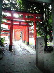 Ca222222222222222222222222.gif