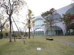 tamabitamabi.jpg