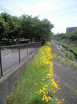 090523001.jpg