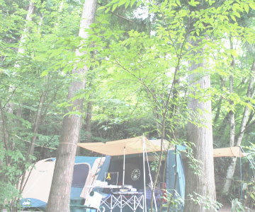 camp-aa.jpg