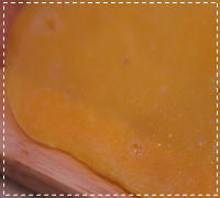 egg7.jpg