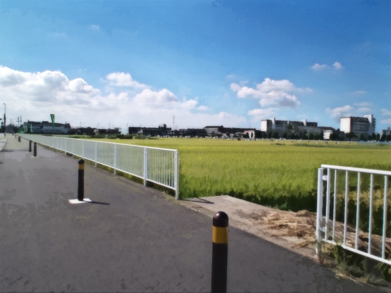 haikeisozai_michi1