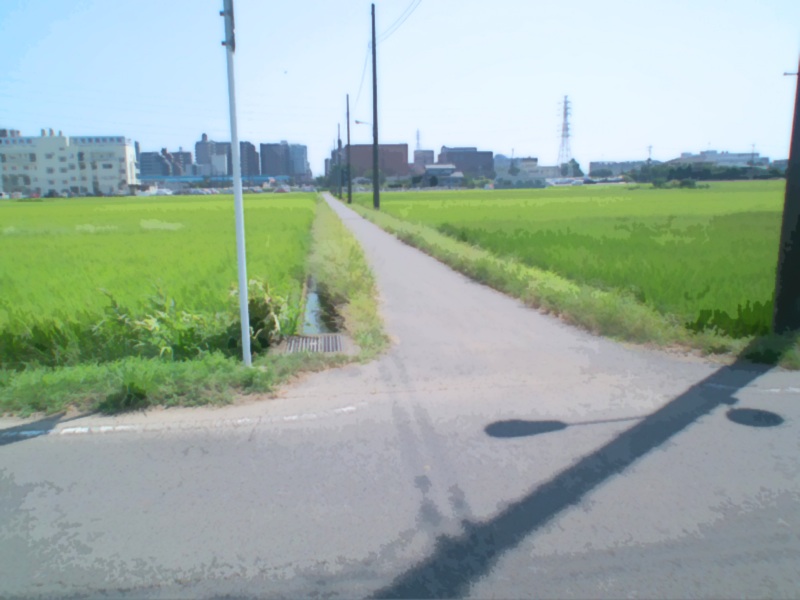 haikeisozai_tanbo4.jpg