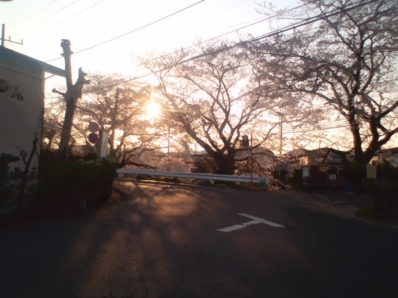 haikeisozai_michi31.jpg