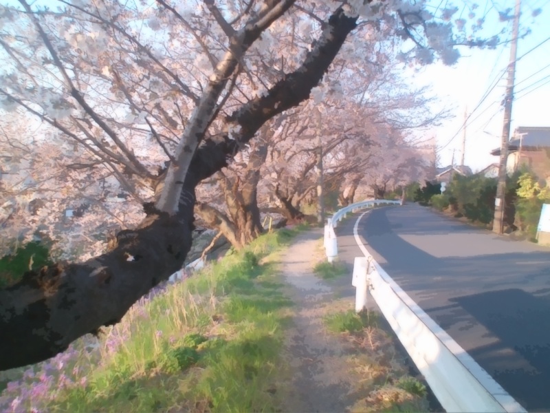 haikeisozai_michi32.jpg