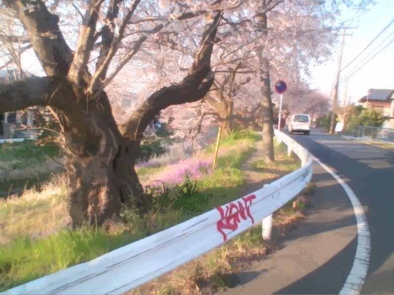 haikeisozai_michi33.jpg