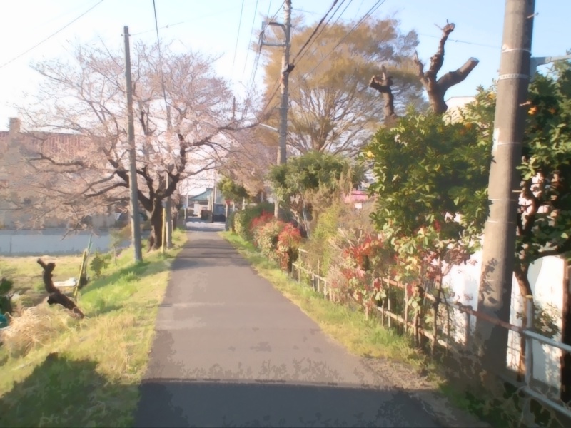haikeisozai_michi36.jpg