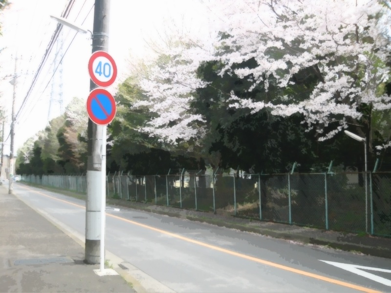 haikeisozai_michi39.jpg