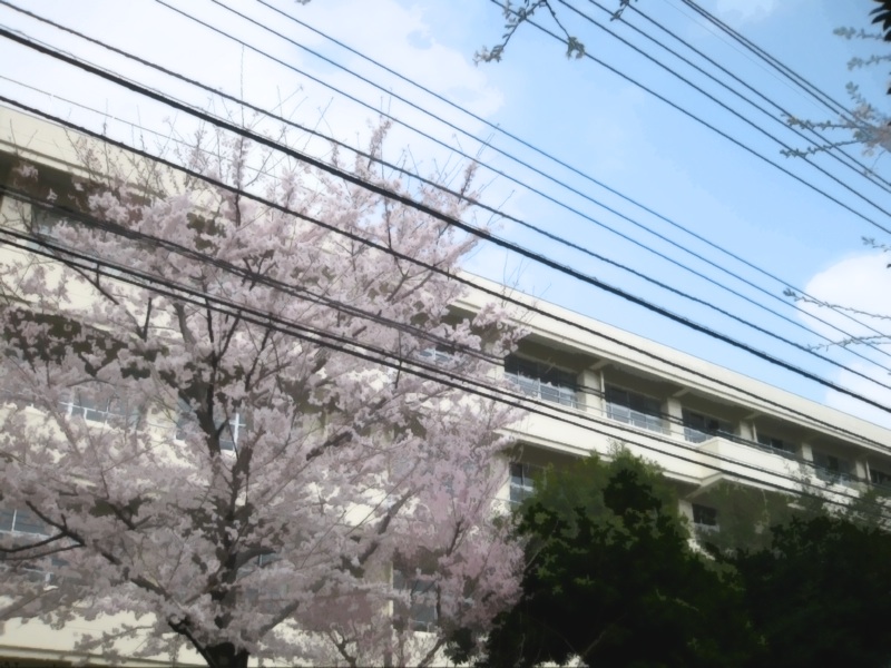 haikeisozai_michi39.jpg