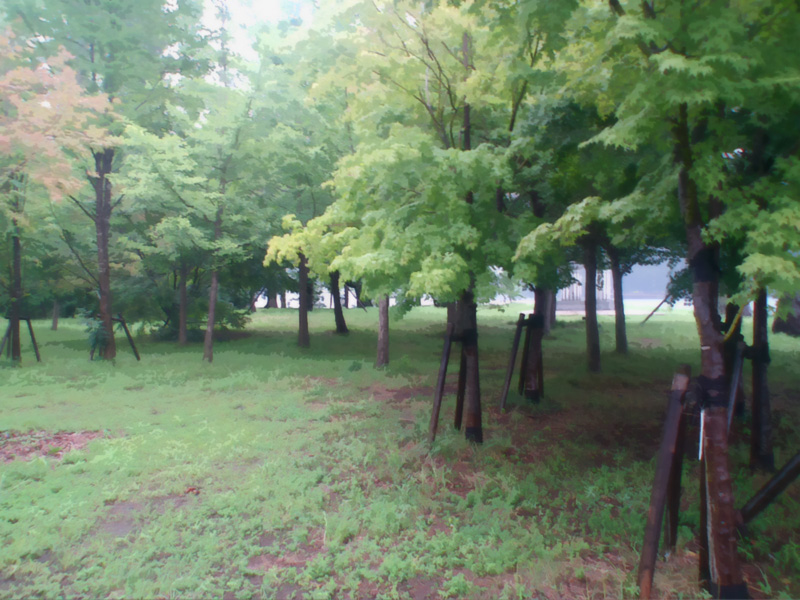 haikeisozai_hayashi.jpg