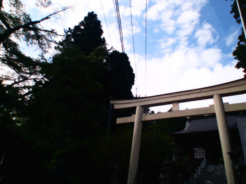 haikeisozai_jinja.jpg