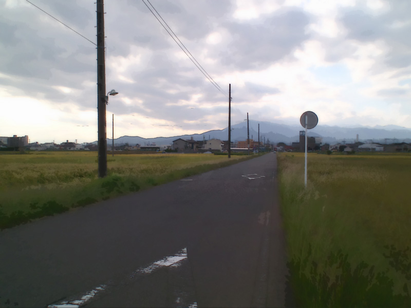 haikeisozai_michi46.jpg