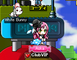 maple13.png