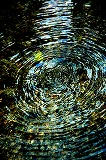 eyes0884.jpg