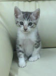 2010090116550000.jpg