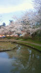 201104241305001.jpg
