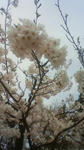 201104241310001.jpg