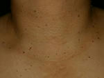 070813ask_2.jpg