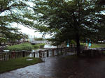 e_tsuruoka_017-06.jpg