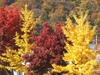 180f7538.JPG