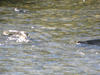 DSCN0832.JPG