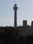 KC3O0365.JPG