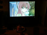 20080303001157.jpg