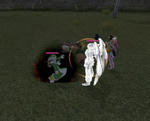 mabinogi_2010_05_01_004.jpg