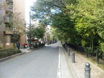 SH3800110002.jpg
