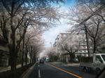 SH380054.jpg