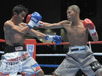 kameda-320.jpg