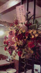2009040719000000.jpg
