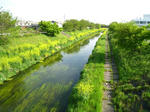 IMG_4235.JPG