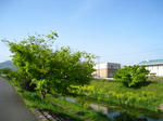 IMG_4239.JPG