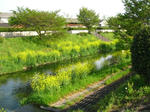 IMG_4242.JPG