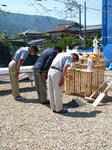 IMG_4380.JPG