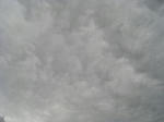 IMG_5074.JPG