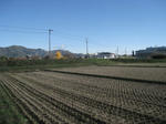 IMG_0059.JPG