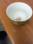 120320_090307.jpg
