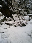 雪
