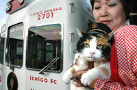 tama