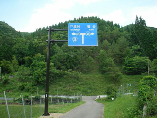 IMGP4591.JPG