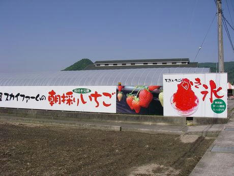 IMGP2934.JPG