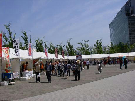 IMGP2944.JPG