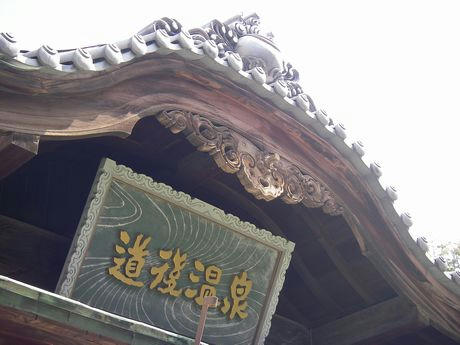 IMGP5132.JPG