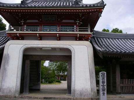 IMGP7092.JPG