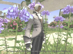 shima3-1.jpg