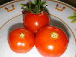 tomato7.12_2.gif