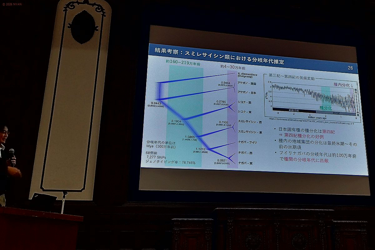 セミナーより セミナーより