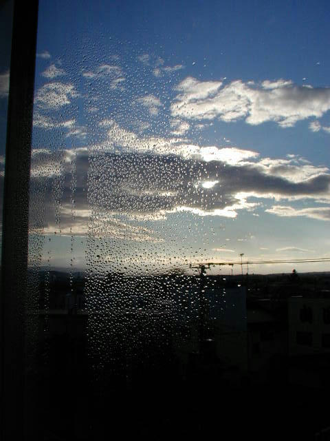 7066ec36.jpg